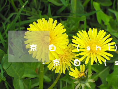 京東白條實(shí)付款與還款金額不一樣-京東白條實(shí)付款與還款金額不一樣怎么辦
