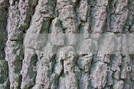 京東白條審大缺農(nóng)業(yè)銀行卡還款-京東白條審大缺農(nóng)業(yè)銀行卡還款怎么辦