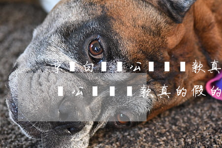 京東白條對公賬戶還款真的假的-京東白條對公賬戶還款真的假的怎么辦