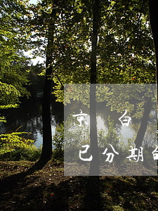 京東白條已分期的怎樣提前還款-京東白條已分期的怎樣提前還款啊