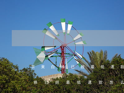 京東白條已經最低還款怎么還要還-京東白條已經最低還款怎么還要還利息