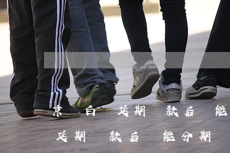 京東白條延期還款后還能分期嗎-京東白條延期還款后還能分期嗎怎么還