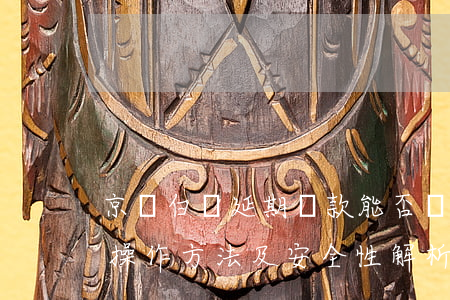 京東白條延期還款能否繼續(xù)分期？操作方法及安全性解析