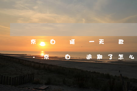 京東白條延遲一天還款會(huì)怎么樣-京東白條逾期了怎么協(xié)商延期還款