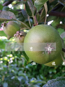 京東白條必須使用銀行卡還款嗎-京東白條必須使用銀行卡還款嗎安全嗎