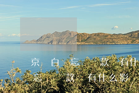 京東白條忘記還款會有什么影響-京東白條忘記還款會有什么影響嗎