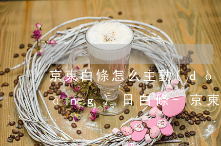 京東白條怎么主動(dòng)還款當(dāng)日白條-京東白條怎么主動(dòng)還款當(dāng)日白條額度