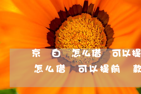 京東白條怎么借錢可以提前還款-京東白條怎么借錢可以提前還款呢