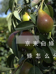 京東白條怎么如何分期還款方式-京東的白條怎么分期還款