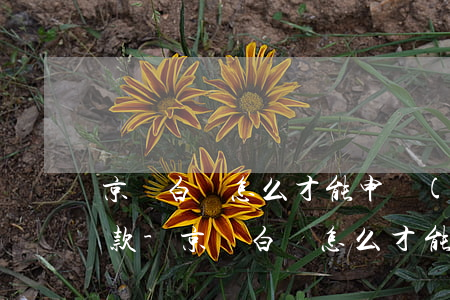 京東白條怎么才能申請(qǐng)延期還款-京東白條怎么才能申請(qǐng)延期還款呢