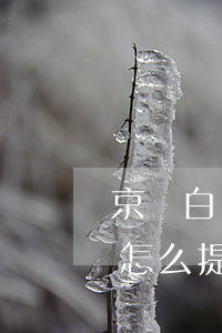 京東白條怎么提前還款一件商品-京東白條怎么提前還款一件商品呢