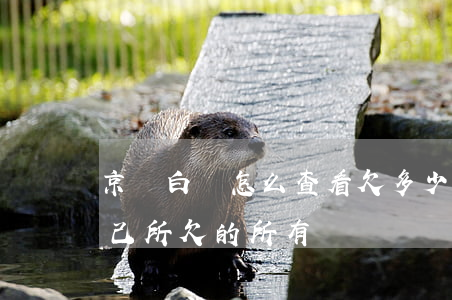 京東白條怎么查看欠多少(京東白條怎么看自己所欠的所有)