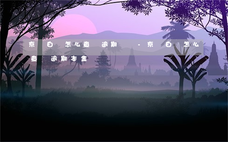 京東白條怎么查詢逾期記錄-京東白條怎么查詢逾期本金