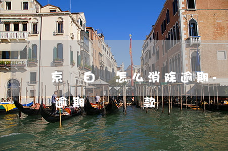 京東白條怎么消除逾期-京東白條怎么消除逾期記錄還款