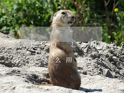 京東白條怎么用微信公眾號還款嗎-京東白條怎么用微信公眾號還款嗎安全嗎?