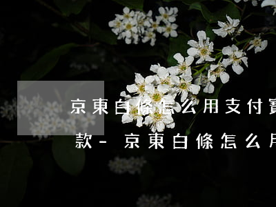 京東白條怎么用支付寶自動(dòng)還款-京東白條怎么用支付寶自動(dòng)還款啊