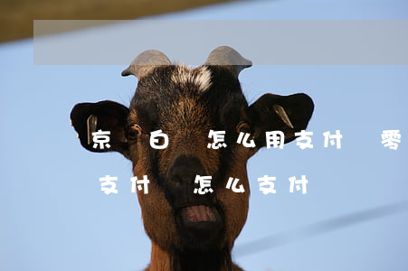 京東白條怎么用支付寶零錢還款-京東白條支付寶怎么支付