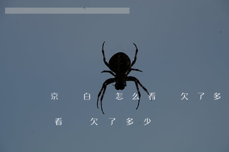 京東白條怎么看總欠了多少錢(京東白條怎么看總欠了多少錢)
