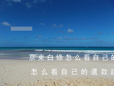 京東白條怎么看自己的還款記錄-京東白條怎么看自己的還款記錄呢