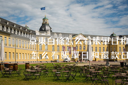 京東白條怎么看賬單日和還款日-京東白條怎么看賬單日和還款日期