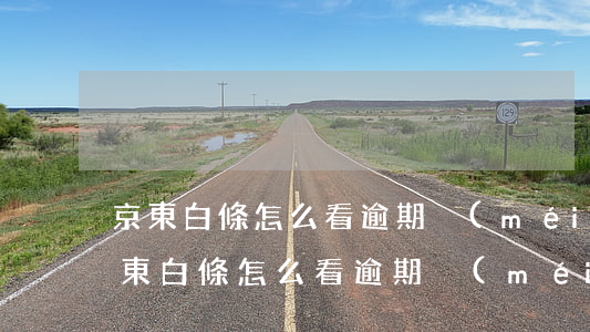 京東白條怎么看逾期沒(méi)逾期-京東白條怎么看逾期沒(méi)逾期