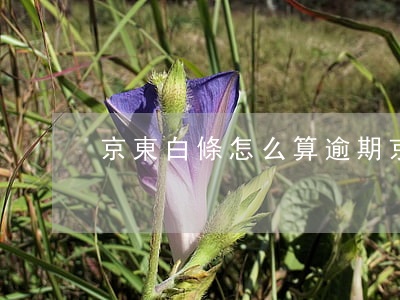 京東白條怎么算逾期(京東白條多久算逾期)