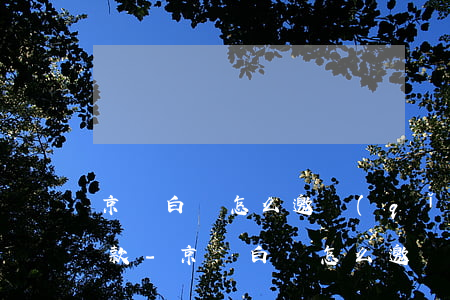 京東白條怎么邀請(qǐng)好友幫忙還款-京東白條怎么邀請(qǐng)好友幫忙還款?