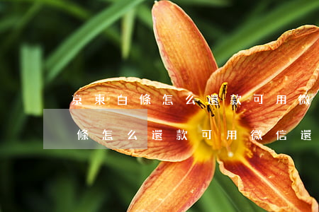 京東白條怎么還款可用微信還錢嗎-京東白條怎么還款可用微信還錢嗎安全嗎