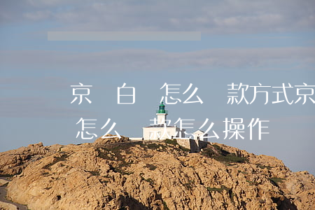 京東白條怎么還款方式京東白條-京東白條怎么還款怎么操作
