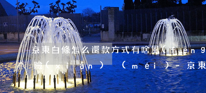 京東白條怎么還款方式有啥風(fēng)險(xiǎn)沒(méi)-京東白條怎么還款方式有啥風(fēng)險(xiǎn)沒(méi)有逾期