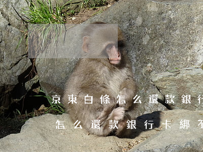 京東白條怎么還款銀行卡綁不上-京東白條怎么還款銀行卡綁不上呢