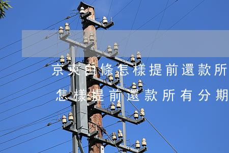 京東白條怎樣提前還款所有分期-京東白條怎樣提前還款所有分期的錢