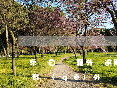 京東白條戶籍外訪逾期已處理(京東白條逾期有個(gè)外訪組說(shuō)要上門(mén))