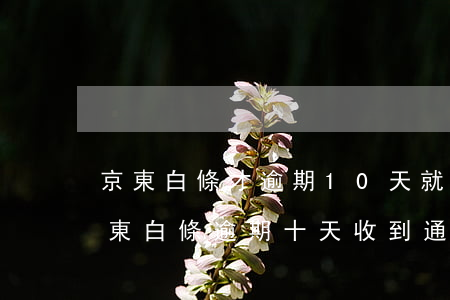 京東白條才逾期10天就發(fā)短信 京東白條逾期十天收到通告