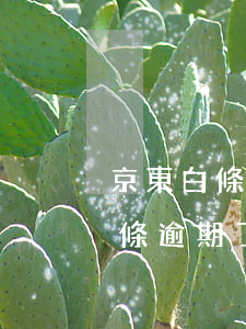 京東白條拖欠還款會(huì)怎樣(京東白條逾期了)