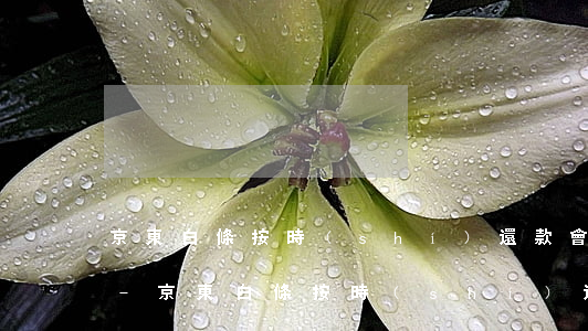 京東白條按時(shí)還款會提升額度嗎-京東白條按時(shí)還款會提升額度嗎安全嗎