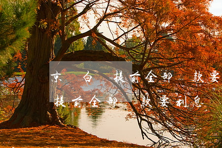京東白條提前全部還款要利息嗎-京東白條提前全部還款要利息嗎多少