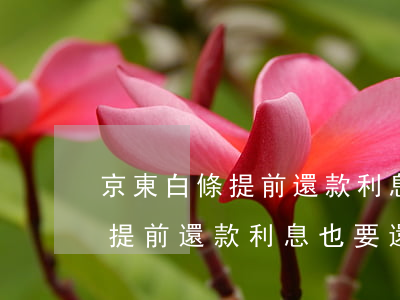 京東白條提前還款利息也要還么-京東白條提前還款利息也要還么