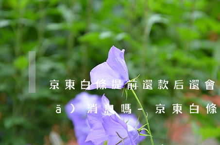 京東白條提前還款后還會(huì)發(fā)消息嗎-京東白條提前還款后還會(huì)發(fā)消息嗎是真的嗎
