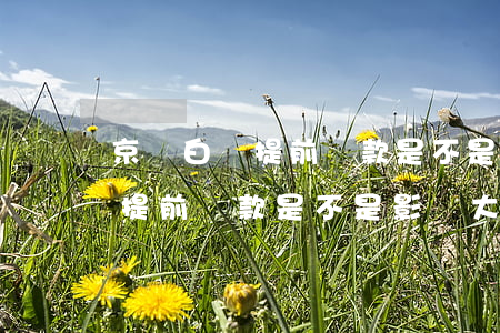 京東白條提前還款是不是影響大-京東白條提前還款是不是影響大一點(diǎn)