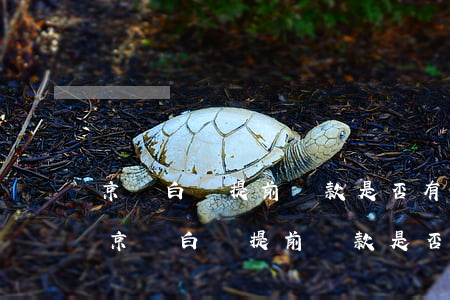 京東白條提前還款是否有手續(xù)費-京東白條提前還款是否有手續(xù)費用