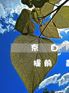 京東白條提前還款會不會收利息-京東白條提前還款會不會收利息呢