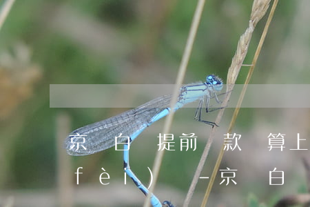 京東白條提前還款還算上服務(wù)費(fèi)嗎-京東白條提前還款還算上服務(wù)費(fèi)嗎是真的嗎