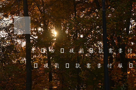 京東白條提前還款需要付服務費嗎-京東白條提前還款需要付服務費嗎安全嗎