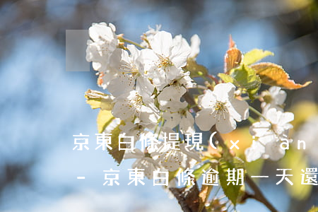 京東白條提現(xiàn)逾期一天怎么辦-京東白條逾期一天還款后提現(xiàn)額度變少