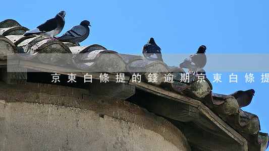 京東白條提的錢逾期（京東白條提的錢逾期）
