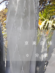 京東白條支付0分期怎么還款嗎-京東白條0分期付款有利息嗎
