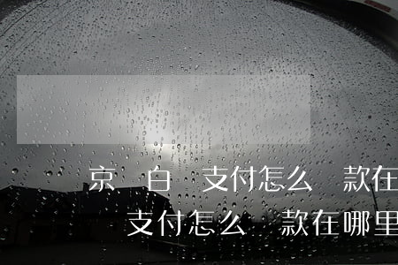 京東白條支付怎么還款在哪里還款-京東白條支付怎么還款在哪里還款啊