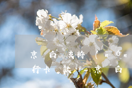 京東白條支持農(nóng)業(yè)銀行卡還款嗎-京東白條支持農(nóng)業(yè)銀行卡還款嗎安全嗎