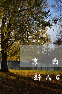 京東白條新人60元券用還款嗎-京東白條新人60元券用還款嗎?